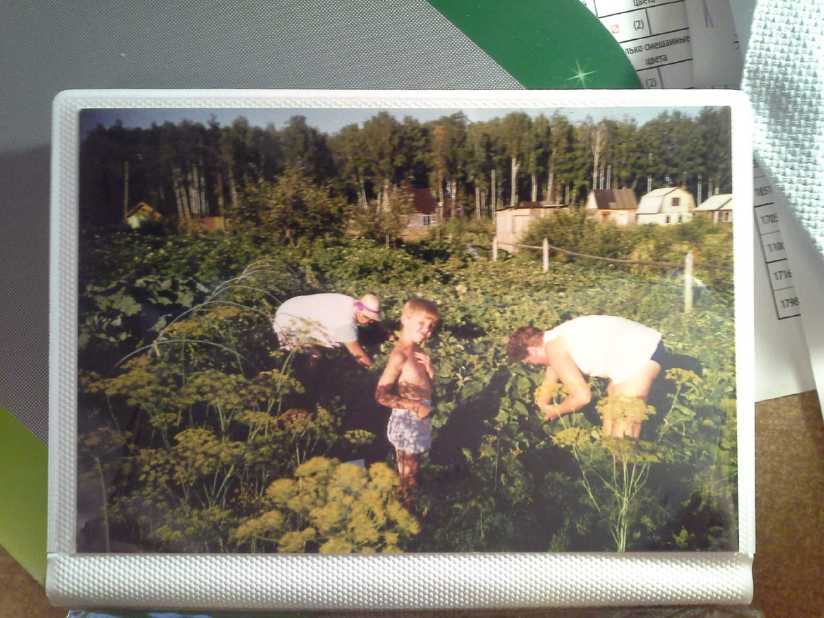 На даче, за сбором огурцов.