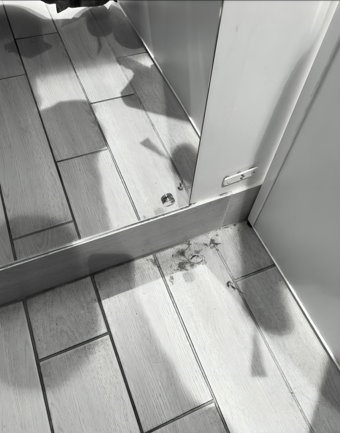 Фото взято из источника google   