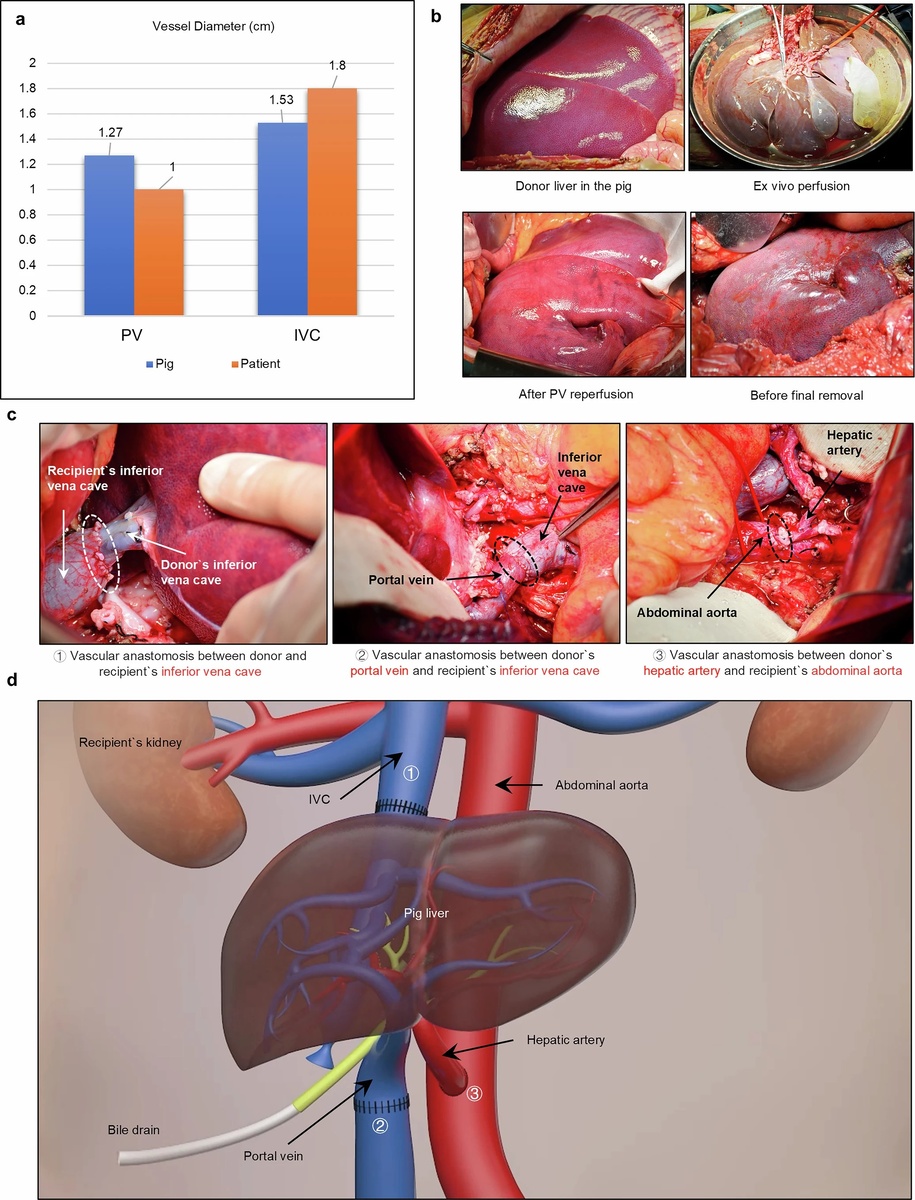   Kai-Shan Tao et al. / Nature, 2025