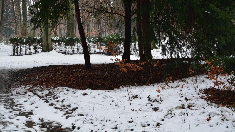 Фото: @EyeEm / freepik.com