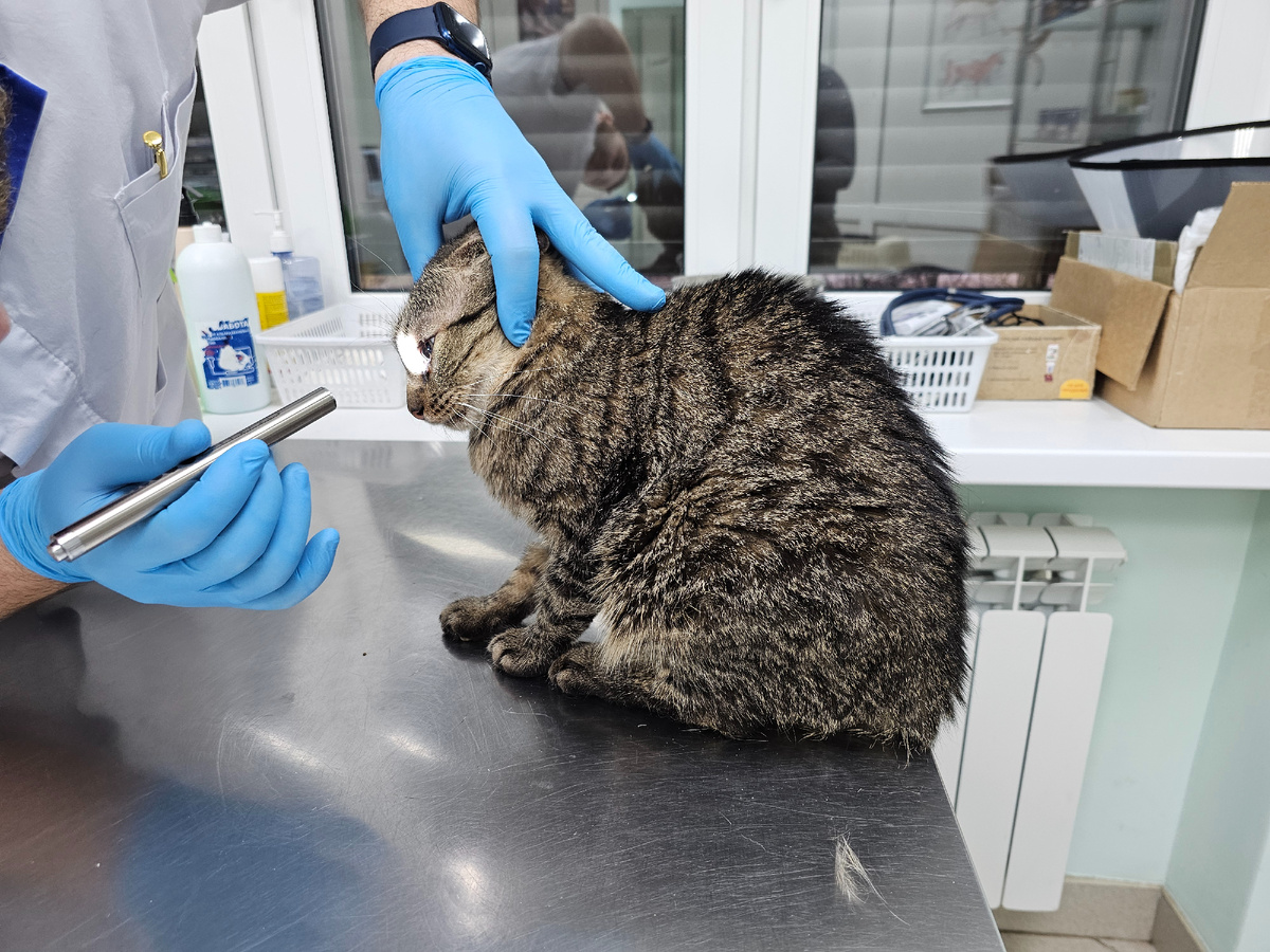 Фото автора. Мо у врача.