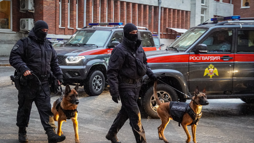    Фото: ИЗВЕСТИЯ/ПРЕСС-СЛУЖБА СЕВЕРО-ЗАПАДНОГО ОКРУГА РОСГВАРДИИ; 5-tv.ru