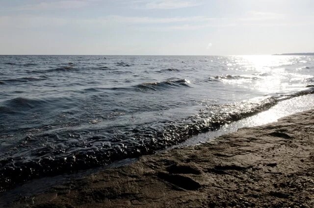    Чем отличается море от залива?