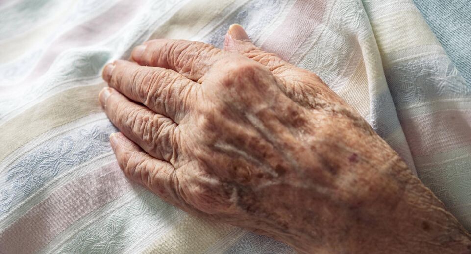    IMAGO/Zoonar.com/Matej Kastelic / www.globallookpress.com