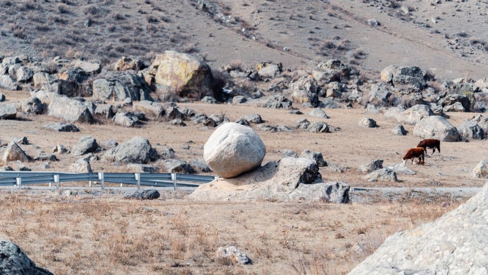    "Каменный сад" в районе села Малый Яломан. Республика Алтай. Источник: Андрей Сороко/"Толк"