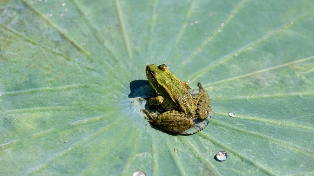    Фото: Aleksey Smyshlyaev/Globallookpress