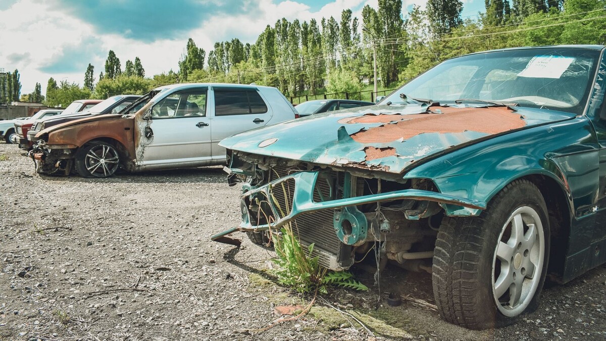     Источник: 1MI