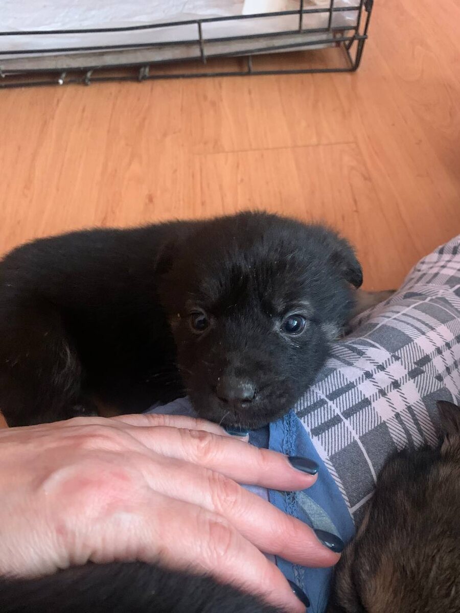 Малыши из Монино