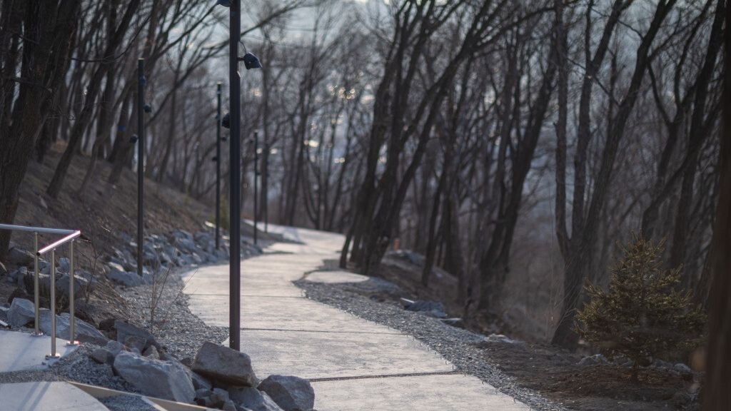     Источник: vlc.ru