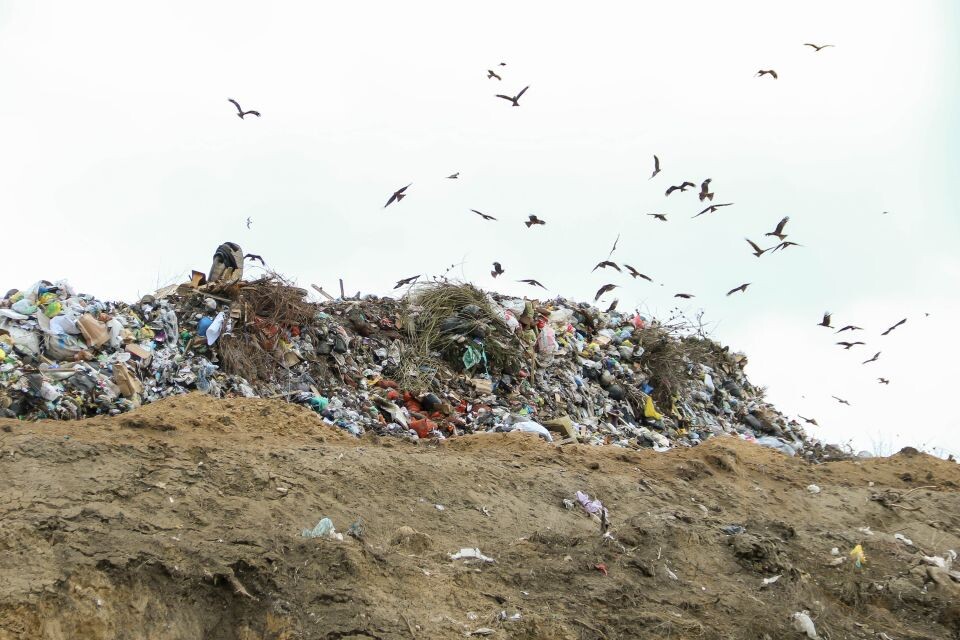    Свалка. Мусор. Отходы. Источник: Виталий Барабаш/"Толк"