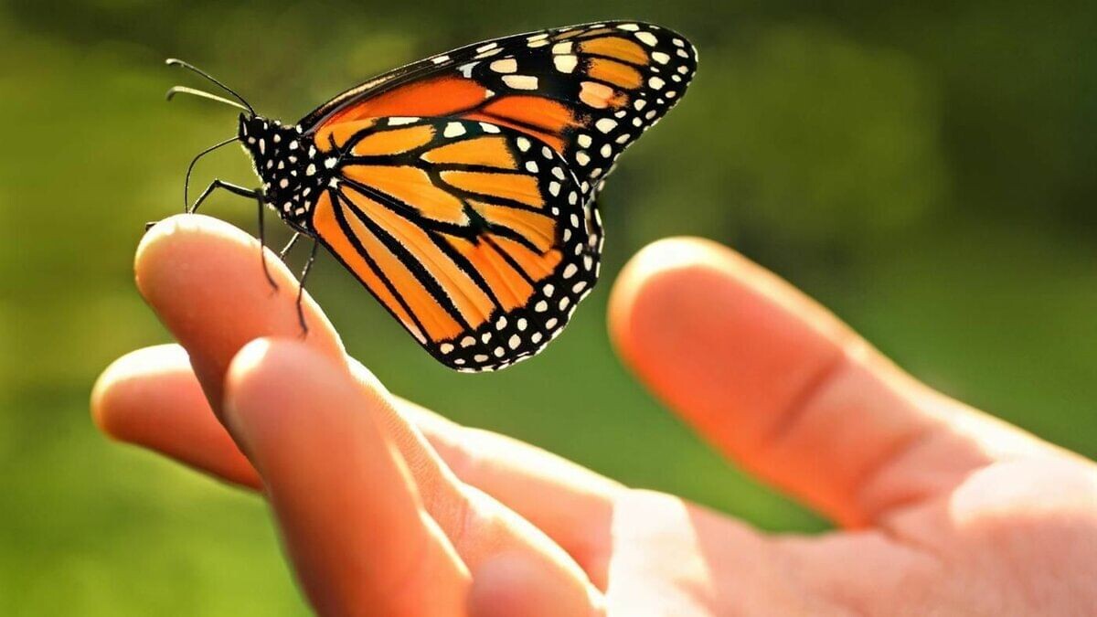 Добро ) фото яндекс.