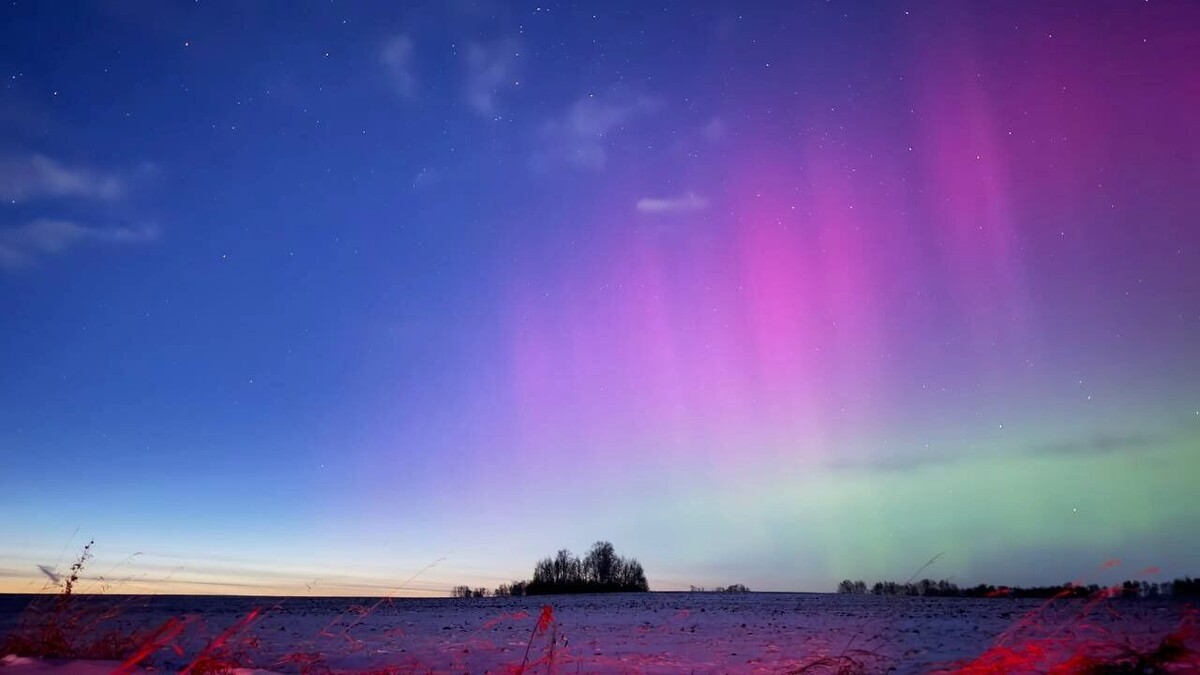     Источник: t.me/laskoviyspetsnaz