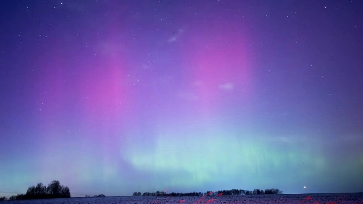     Источник: t.me/laskoviyspetsnaz