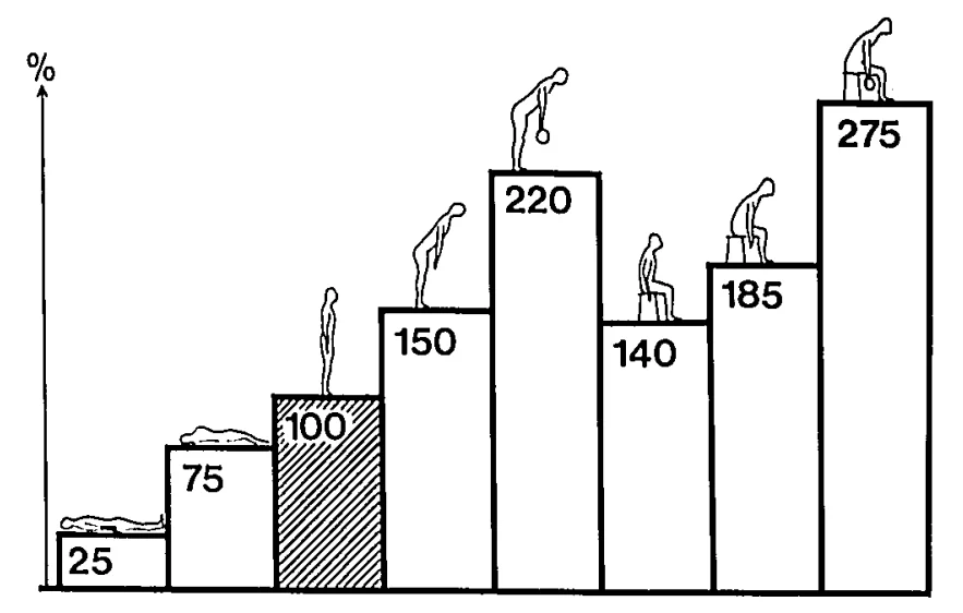 Нагрузка на межпозвоночные диски в зависимости от положения тела