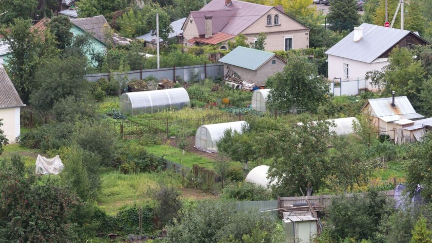    Фото: KazanFirst