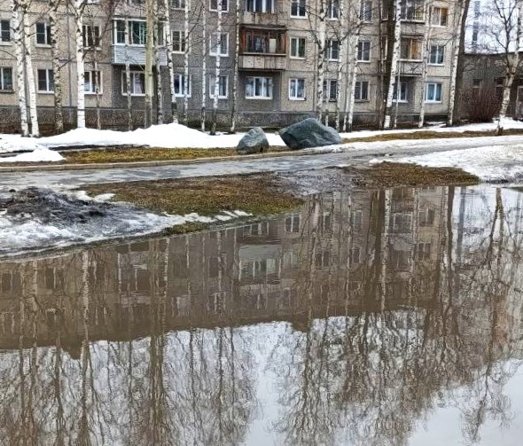    Депутат в Петрозаводске спасает затопленный скверАлександр Ершов