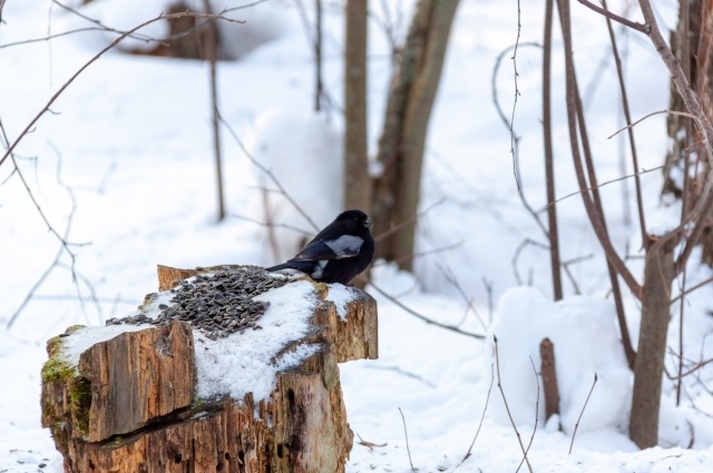   Фото Татьяны Павловой