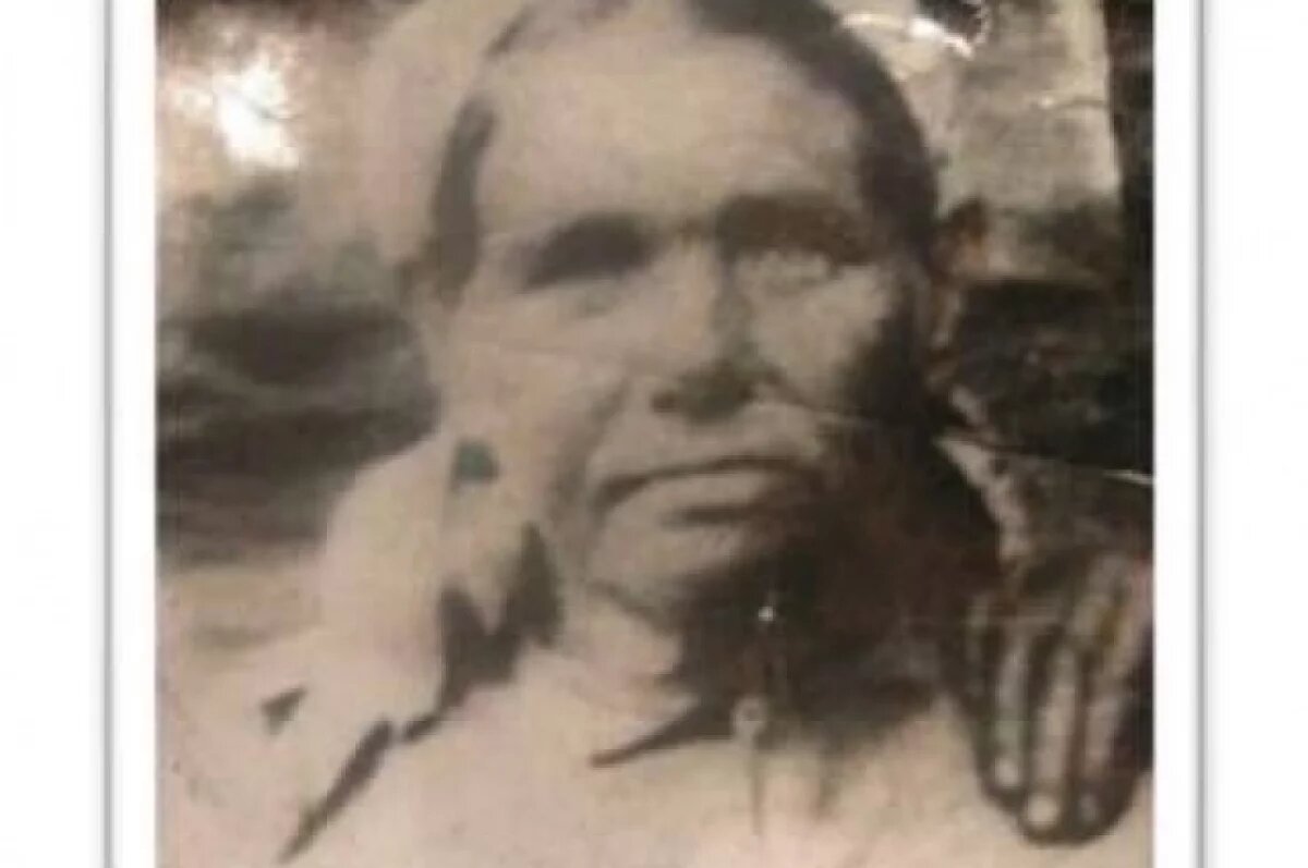    Феврония Плотникова.