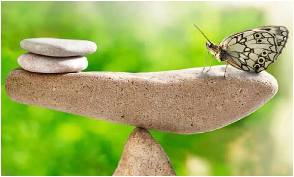 #жизнь #любовь #красота 