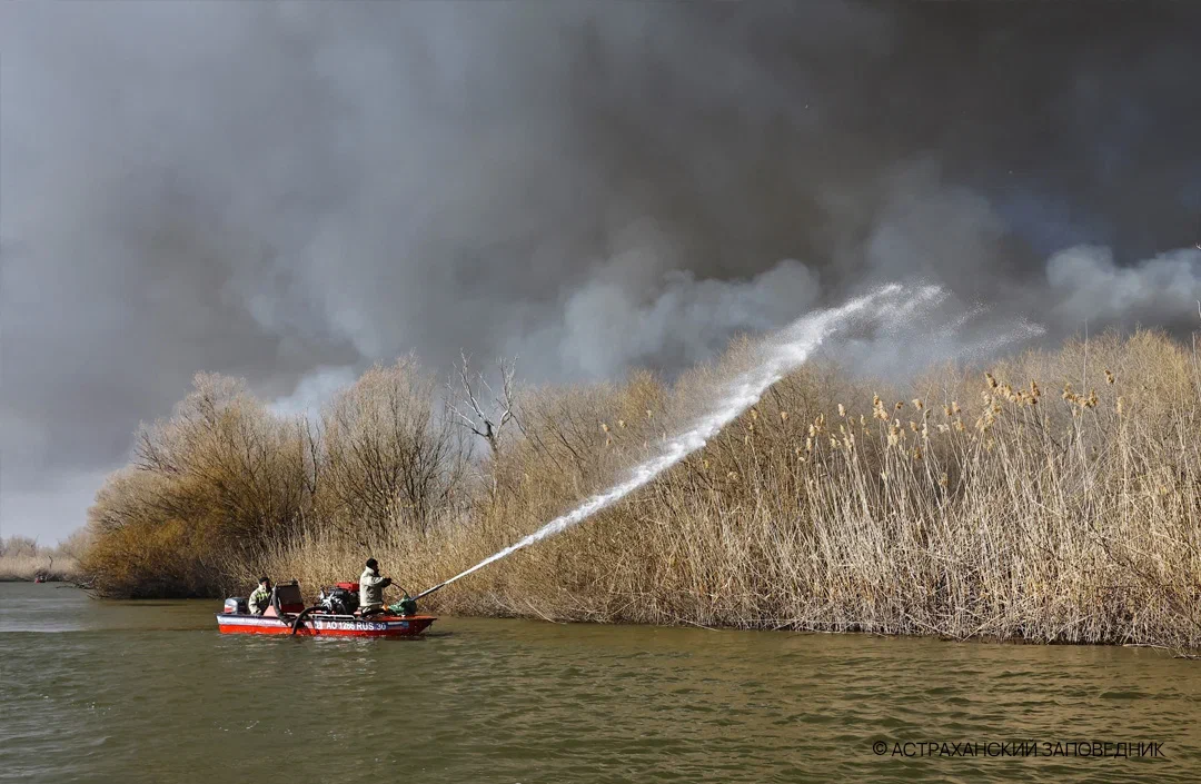 Тушение огня в Астраханском заповеднике