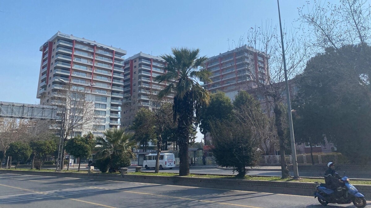     Источник: 1MI