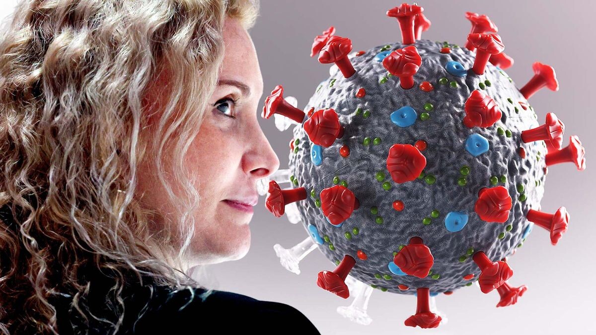    shutterstock.com / Александр Мысякин, Sport24