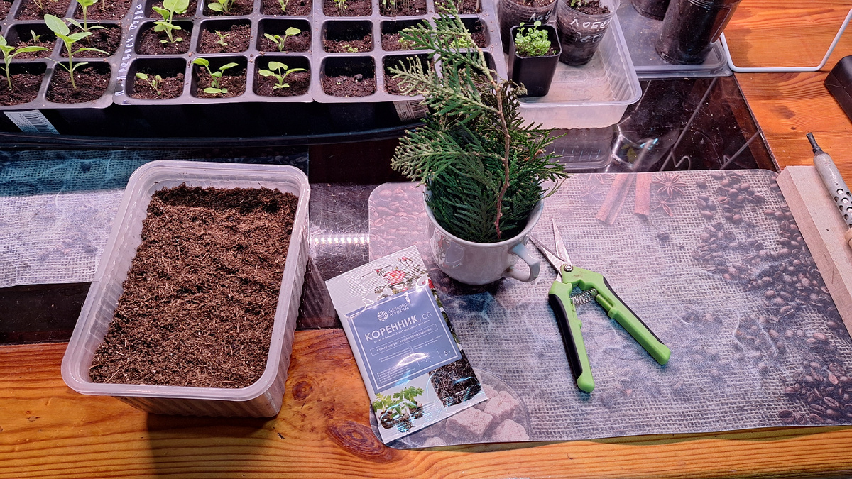 Фото автора. 