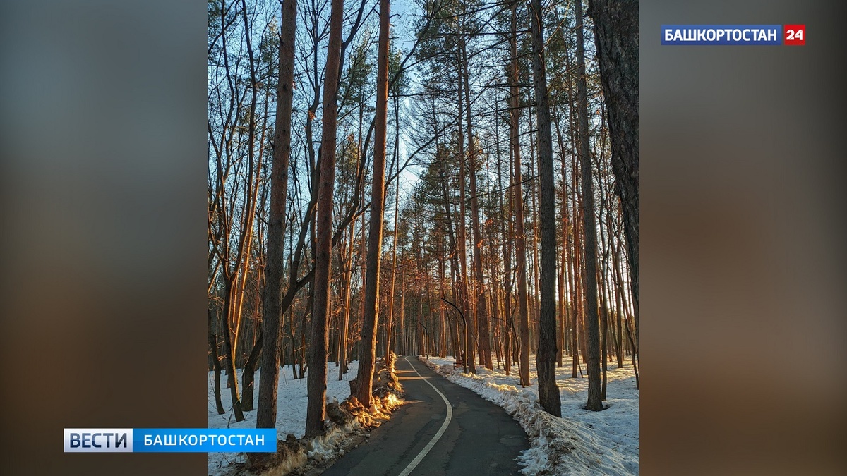    Без осадков и +12: синоптики рассказали о погоде в Башкортостане в последние дни марта