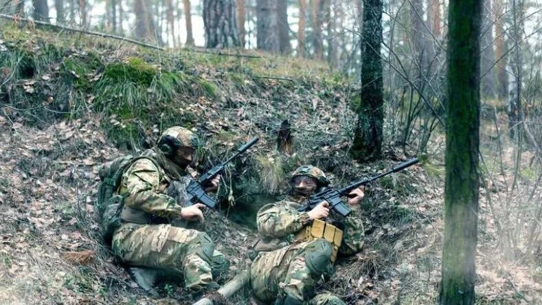    Фото: Green Elk/Shutterstock/Fotodom