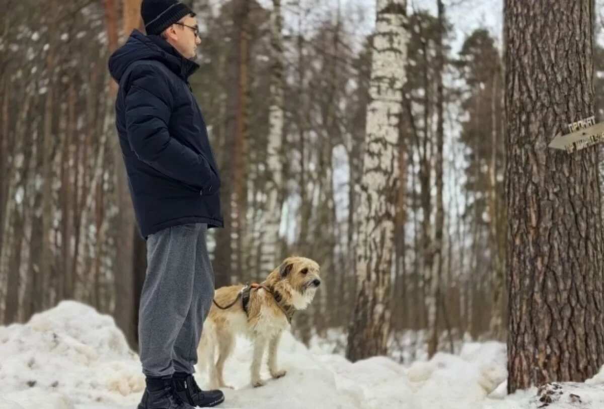    Владельцы собак должны придерживаться правил.