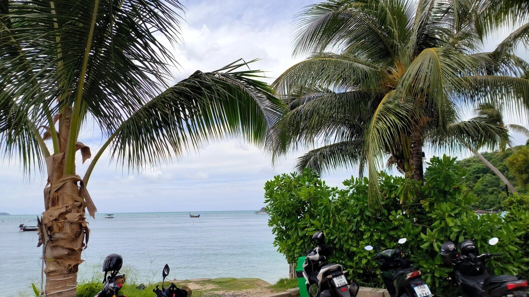    Maksim Konstantinov/Globallookpress