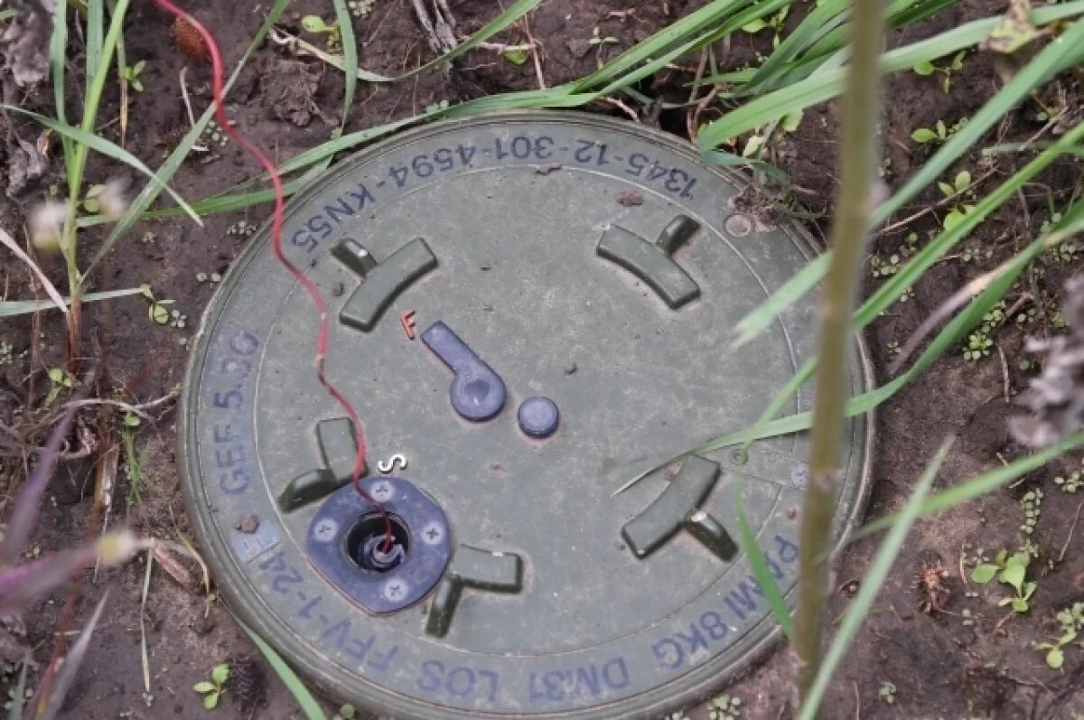    Боевики ВСУ при бегстве из Викторовки под Суджей подорвалась на своих минах