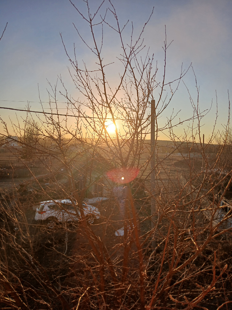 Фото автора 29.03.2025г