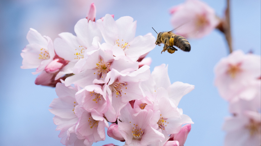    Фото: www.globallookpress.com/Sebastian Kahnert; 5-tv.ru