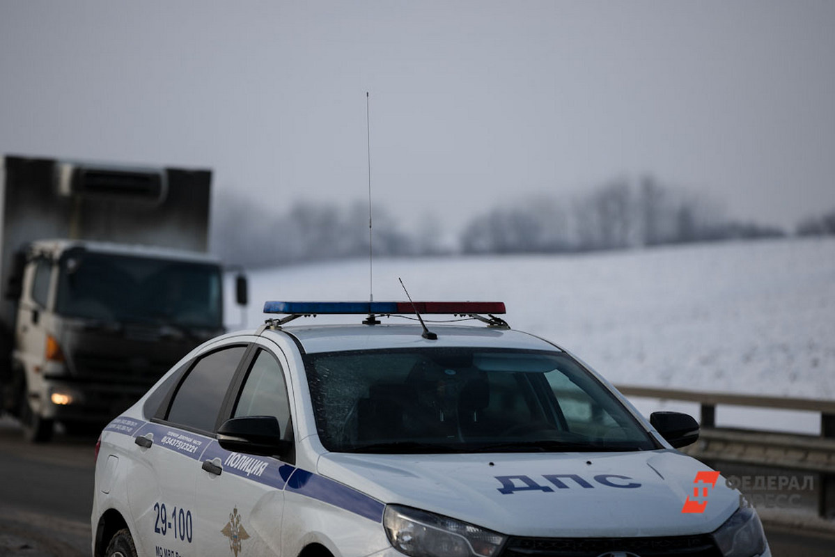 Полицейские задержали водителя.  Фото: Фото: ФедералПресс / Евгений Поторочин