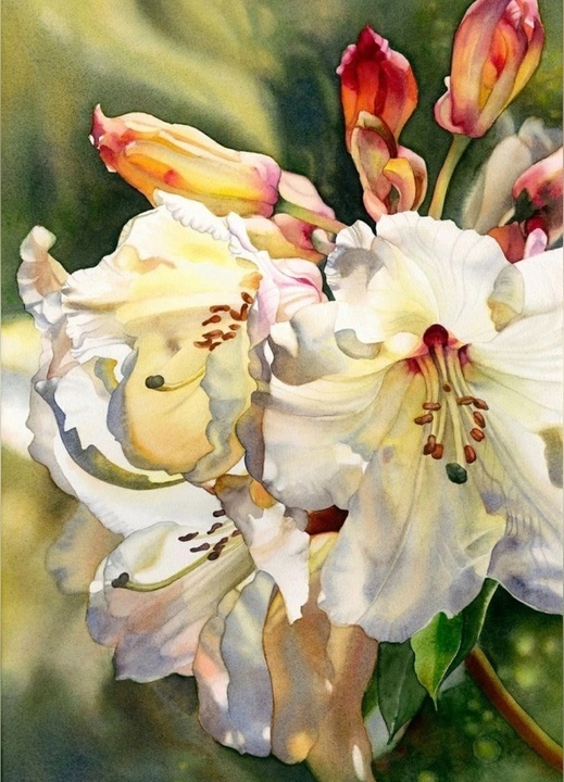 Акварель Марни Вард