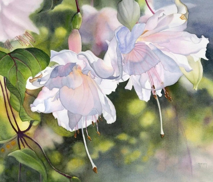 Акварель Марни Вард