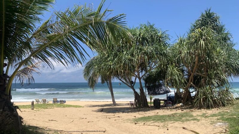     Пальма, отдых. Кристина Тарасова.