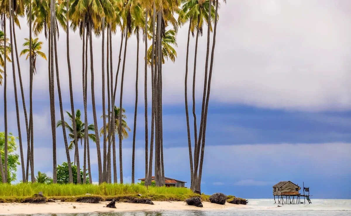    Что нового ждет россиян в 2025 году в штате Сабах на острове Борнео в Малайзии