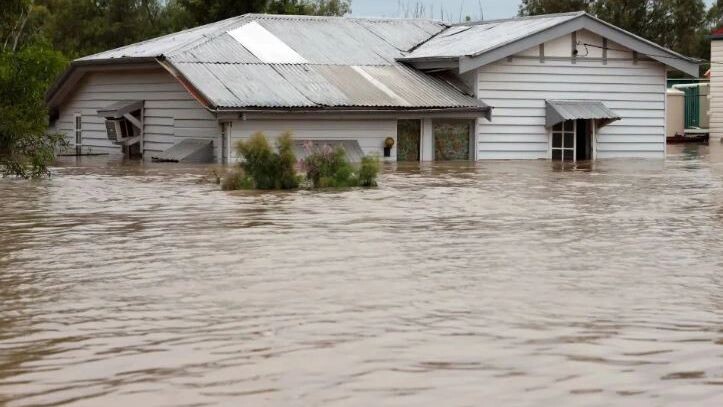    Фото: Brisbane/Shutterstock/Fotodom