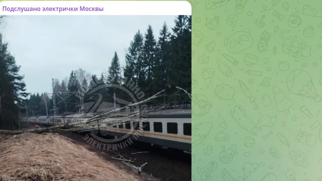    фото: тг-канал "подслушано электрички москвы".