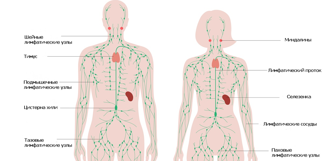 5 симптомов застоя лимфы и как с ними бороться