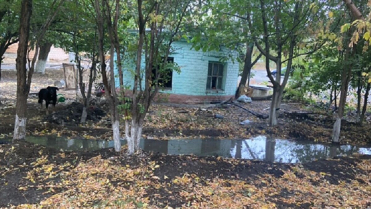     Источник: Нижне-Волжское межрегиональное управление Росприроднадзора