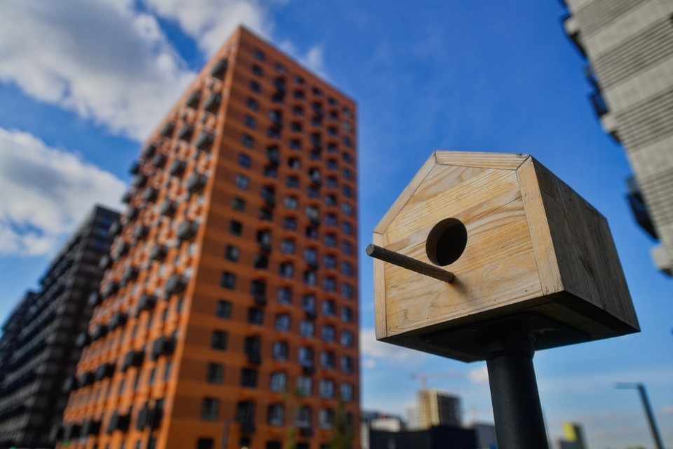    Эксперт рассказала о критериях для взятия льготной ипотеки в Нижегородской области. Иван МАКЕЕВ