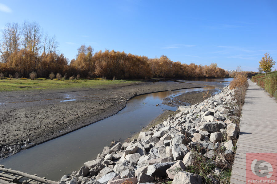    Фото: "Прецедент"