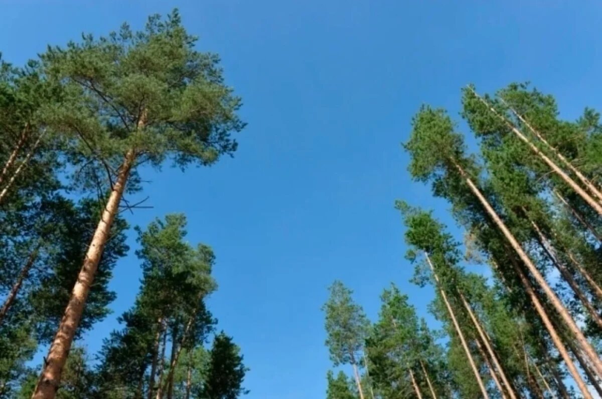    До +10 градусов прогнозируется в Псковской области 27 марта