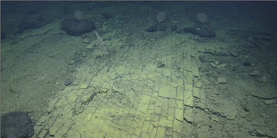    Фото Ocean Exploration Trust/NOAA