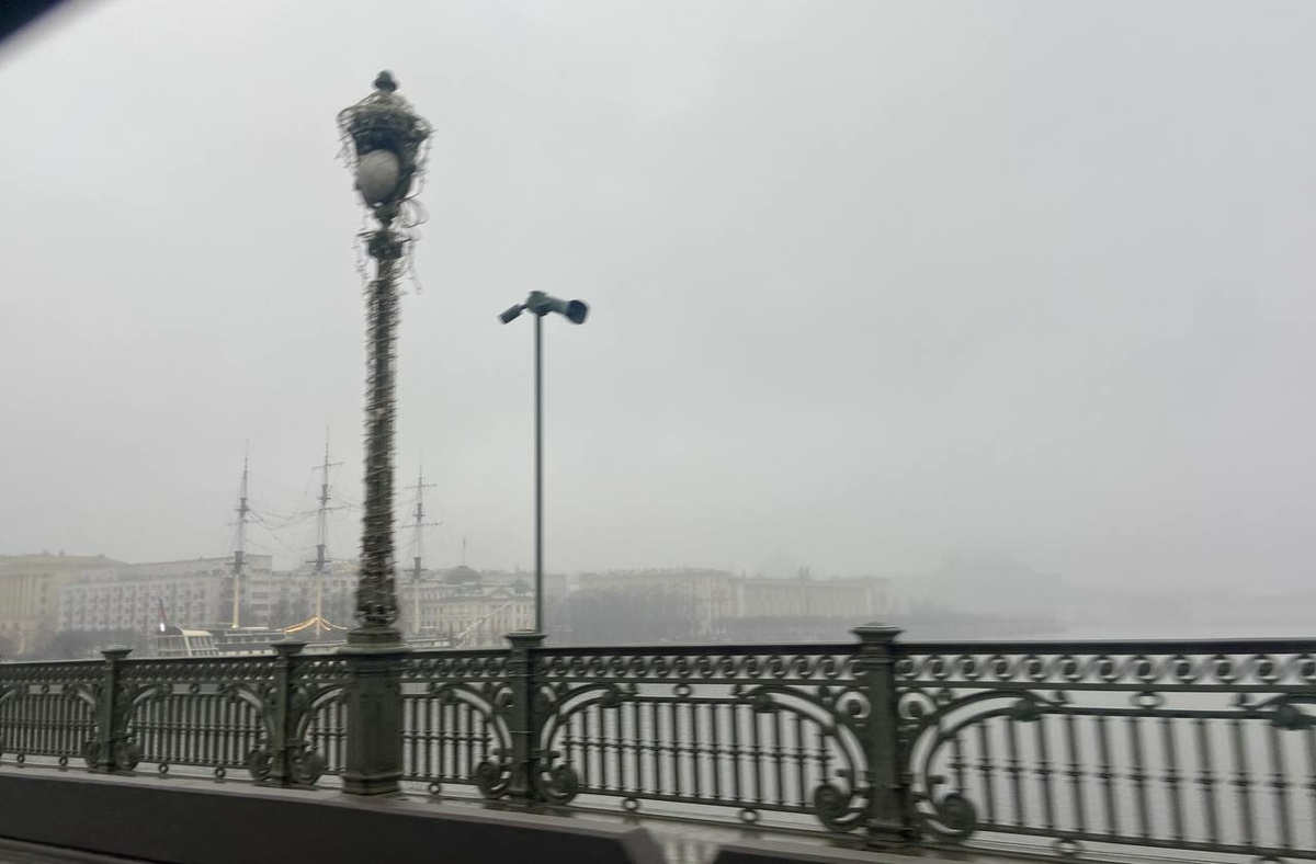 Фото: Neva.Today