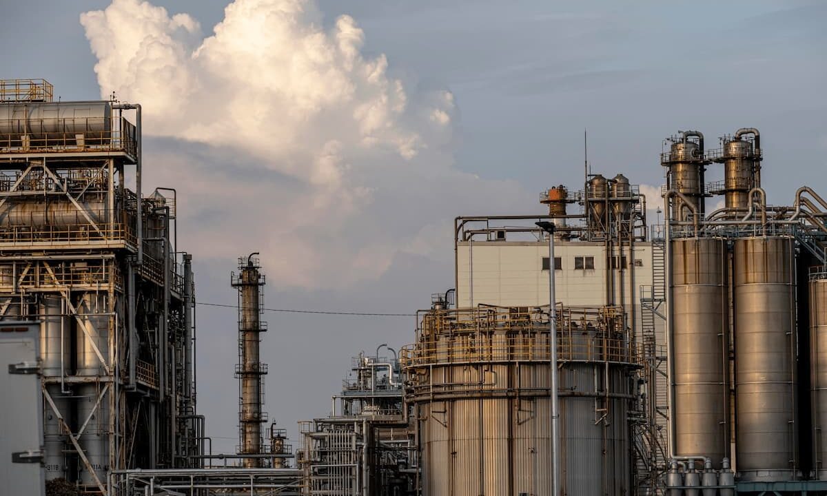    Фото freepik.com