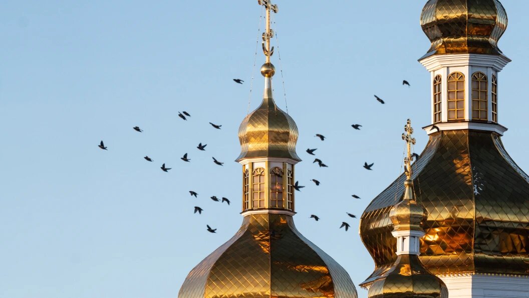    фото: Ilya Moskovets/URA.RU/Globallookpress